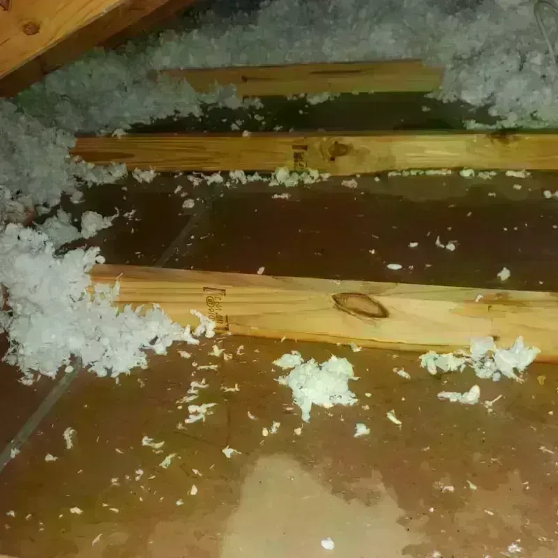 Attic Water Damage in Oakton, VA